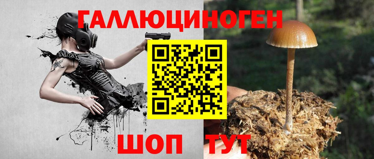 Галлюциногенные грибы GOLDEN TEACHER Дмитров