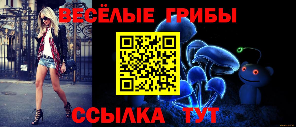 Дмитров  купить   Вход с VPN  Псилоцибиновые грибы Psilocybe  Псилоцибиновые грибы Psilocybine cubensis 